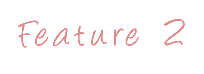 Feature02