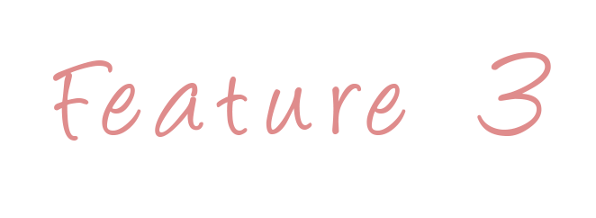 Feature03