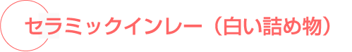 Z~bNC[ilߕj 